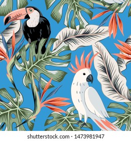 Toucans, parrots, strelitzia flowers, monstera palm leaves, blue background. Vector floral seamless pattern. Tropical illustration. Exotic plants, birds. Summer beach design. Paradise nature
