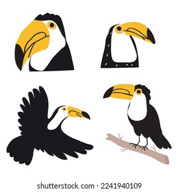 Toucans. Set of birds. Flat vector hand drawn illustrations.  