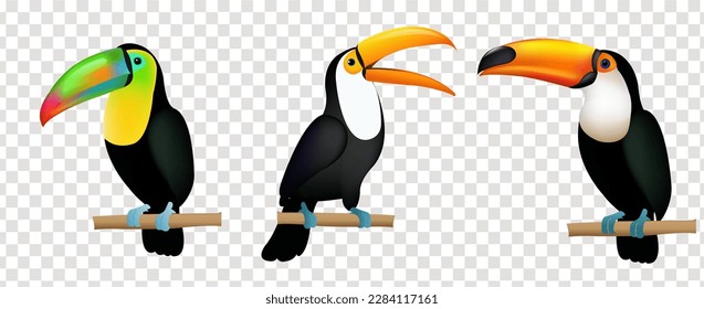 Toucans Set Isolated Transparent Background With Gradient Mesh, Vector Illustration