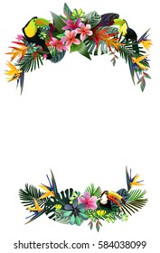 Toucans and Strelitzia,  in tropical forests among exotic foliage, vines, flowers.South America, Central Africa, Southeast Asia and Australia
Monsoon forests, Mangroves.Vector banner .