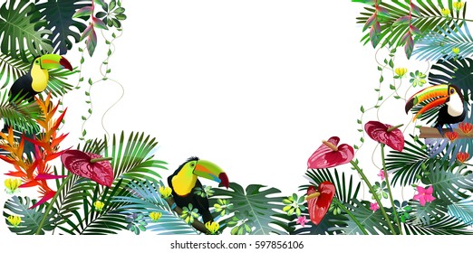 Toucans and Strelitzia,  in tropical forests among exotic foliage, vines, flowers.South America, Central Africa, Southeast Asia and Australia
Monsoon forests, Mangroves.Vector banner .