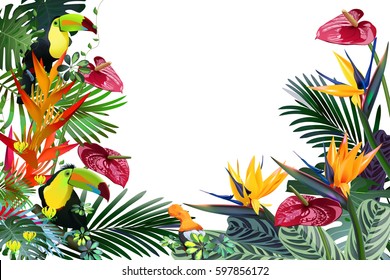 Toucans and Strelitzia,  in tropical forests among exotic foliage, vines, flowers.South America, Central Africa, Southeast Asia and Australia
Monsoon forests, Mangroves.Vector banner .