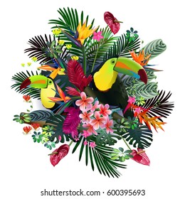 Toucans and Strelitzia,  in tropical forests among exotic foliage, vines, flowers.South America, Central Africa, Southeast Asia and Australia
Monsoon forests, Mangroves.Vector 