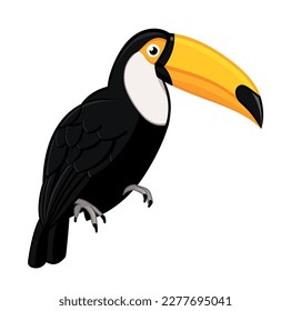 Toucan(Tucan Toco), bird of Central and South America, white background. Illustration  Vector 