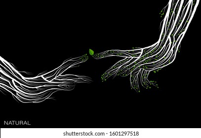 touch of nature,  eco activity concept, two human hands looks like tree branches on the black background,  green product, vector