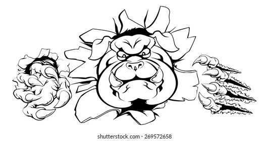 Tough mean muscular bulldog character or sports mascot ripping out of wall