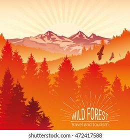 Tourism and travel. Camping. Abstract background. Wild forest. Sunrise, mountains, pine and spruce. Eagles, and birds in flight. The horizon line in the fog. Environmental colorful banner. Vector.