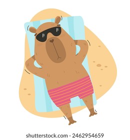 Tourist funny capybara lying on beach