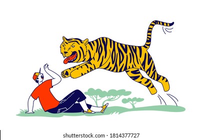 Tourist Male Character Attacked with Tiger in Forest. Danger from Wild Animals Concept. Unexpected Situation in Nature during Traveling and Outdoor Recreation, Beast Attack. Linear Vector Illustration