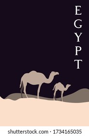 Afiches turísticos de Egipto. Gráficos vectoriales de camellos.