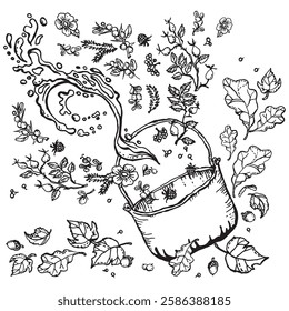 Tourist pot with splashing tea, and sloe berries, rowanberries, raspberries, cranberries, lingonberries, rosehip flowers and berries, acorns and tree leaves flying around