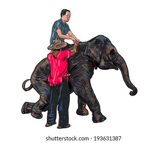  Tourist ridding on elephant back by helping of mahout
