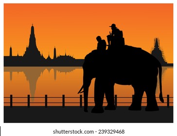 Tourists on an elephant