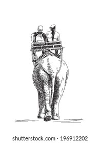 Tourists ride an elephant, Back view, Hand drawn sketch, Vector illustration