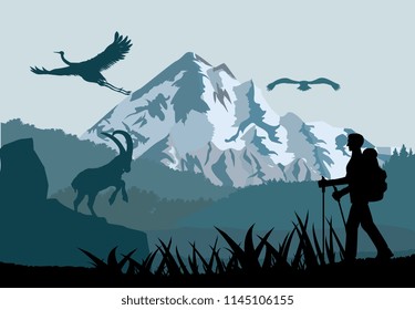Tourist's silhouette walking in the mountains forest, mountains and forest silhouettes in background.