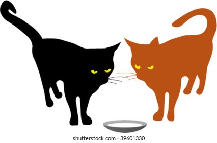 tow cats