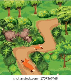 Tow Fox Running in the middle of the forest