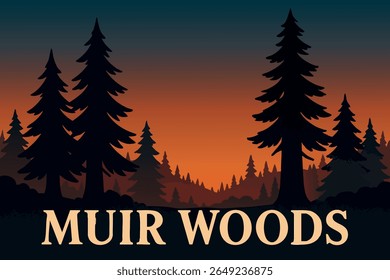 As árvores de sequoias imponentes do Monumento Nacional Muir Woods oferecem uma experiência inspiradora, onde gigantes antigos alcançam o céu em uma floresta serena e tranquila.