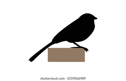 Towhee Bird Silhouette Design  And Vector Illustration. 