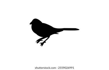 Towhee Bird Silhouette Design  And Vector Illustration. 