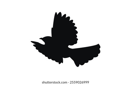 Towhee Bird Silhouette Design  And Vector Illustration. 