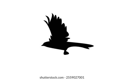 Towhee Bird Silhouette Design  And Vector Illustration. 
