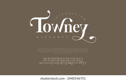 Towney premium luxury elegant alphabet letters and numbers. Vintage wedding typography classic serif font decorative vintage retro. Creative vector illustration