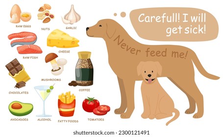 Toxic and dangerous foods to avoid feeding your dogs. Poisoning and toxicity. Poison prevention. Protect your dog. Landscape poster. Editable vector illustration isolated on a white background.