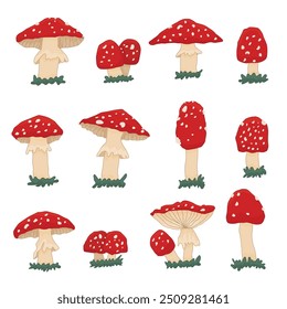 Giftige Fliegenagarics Satz von Pilzelementen mit roter Kappe und Schimmel. Halluzinogene Nahrung aus einer Sammlung von Amanita muscaria, einzeln auf weißem Hintergrund. Vektorgrafik