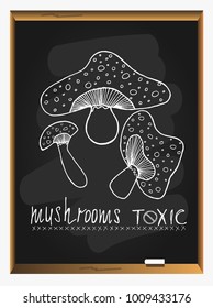 Toxic mushroom border on blackboard background. Mushrooms vector set. hand drawn Vector illustration. 
