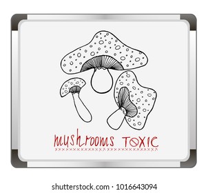 Toxic mushroom border on flip chart background. Mushrooms vector set. hand drawn Vector illustration. 