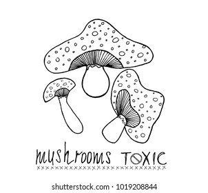 Toxic mushroom border on white background. Mushrooms vector set. hand drawn Vector illustration. 
