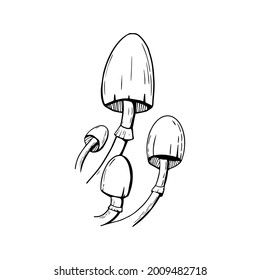 Toxic mushroom doodles on a white. Halloween design elements.
