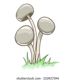 Toxic mushrooms vector illustration