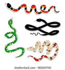 Toxic snake cartoon vector set on a white background. Flat style.