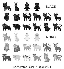 Toy animals black icons in set collection for design. Bird, predator and herbivore vector symbol stock web illustration.