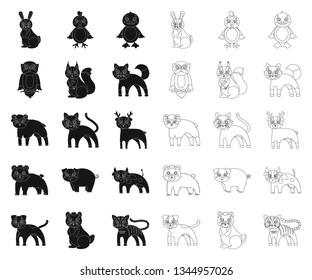 Toy animals black,outline icons in set collection for design. Bird, predator and herbivore vector symbol stock web illustration.