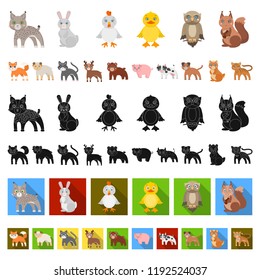 Toy animals cartoon icons in set collection for design. Bird, predator and herbivore vector symbol stock web illustration.