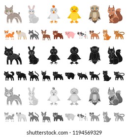 Toy animals cartoon icons in set collection for design. Bird, predator and herbivore vector symbol stock web illustration.