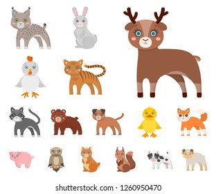 Toy animals cartoon icons in set collection for design. Bird, predator and herbivore vector symbol stock web illustration.