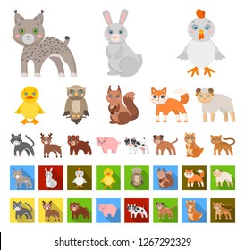 Toy animals cartoon,flat icons in set collection for design. Bird, predator and herbivore vector symbol stock web illustration.