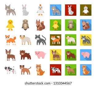 Toy animals cartoon,flat icons in set collection for design. Bird, predator and herbivore vector symbol stock web illustration.