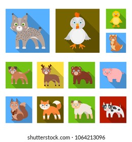 Toy animals flat icons in set collection for design. Bird, predator and herbivore vector symbol stock web illustration.