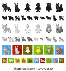 Toy animals flat icons in set collection for design. Bird, predator and herbivore vector symbol stock web illustration.