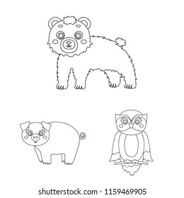 Toy animals outline icons in set collection for design. Bird, predator and herbivore vector symbol stock web illustration.