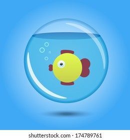 toy fish in aquarium