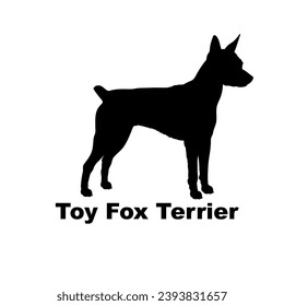  Toy Fox Terrier Dog silhouette dog breeds logo dog monogram logo dog face vector