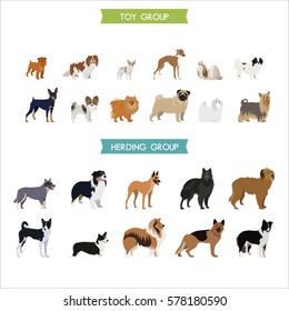 Toy and herding dog breeds