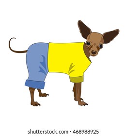 The toy is in his pants and shirt.