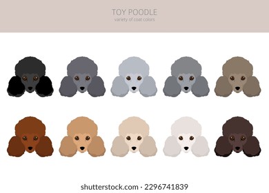 Spielzeug-Poodle-Clipkunst. Unterschiedliche Posen, Farben für die Fellfarbe.  Vektorgrafik